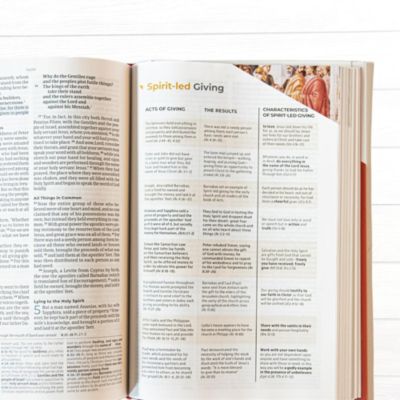 CSB Student Study Bible, Ginger Leathertouch