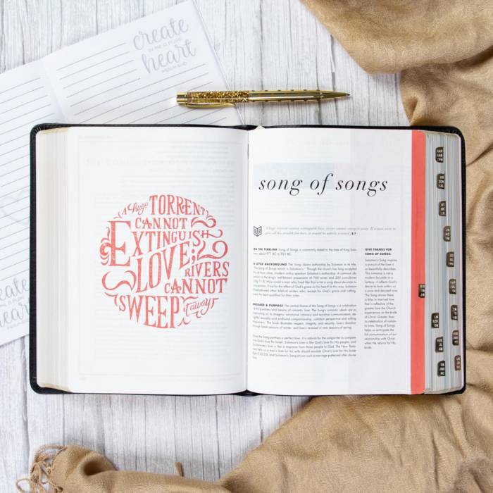 CSB She Reads Truth Bible, Black LeatherTouch Indexed | Lifeway