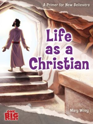 Life as a Christian Lifeway