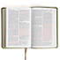 NASB Large Print Personal Size Reference Bible, Olive LeatherTouch