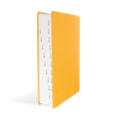 CSB Lifeway Women's Bible, Marigold LeatherTouch, Indexed