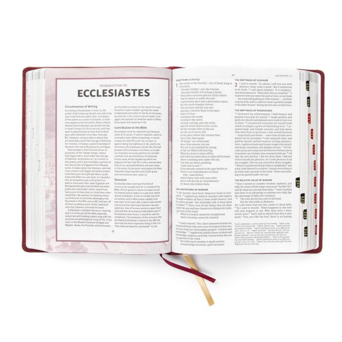 Lifeway Holy Land Illustrated Bible with Imagery & Maps 