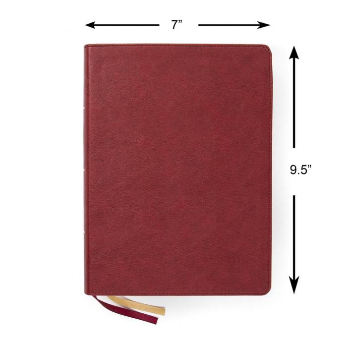 CSB Illustrating Bible Review - Bible Buying Guide