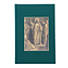 CSB Adorned Bible, Forest Cloth-Over-Board