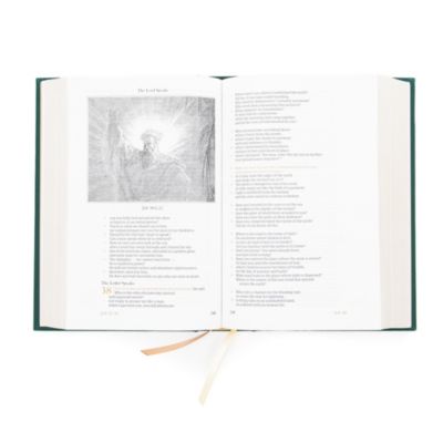 CSB Adorned Bible, Forest Cloth-Over-Board