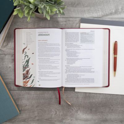 CSB Experiencing God Bible, Burgundy LeatherTouch
