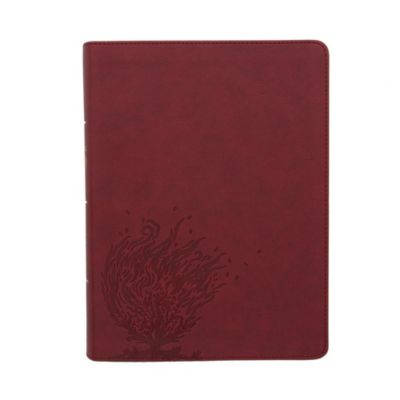 CSB Experiencing God Bible, Burgundy LeatherTouch, Indexed