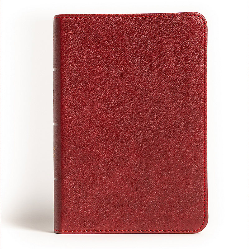 NASB Large Print Compact Reference Bible, Burgundy Leathertouch