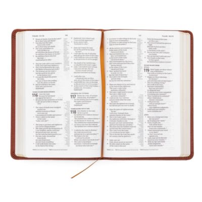CSB Thinline Reference Bible, Burnt Sienna LeatherTouch