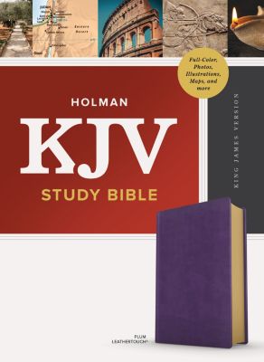 KJV Study Bible, Full-Color, Plum LeatherTouch