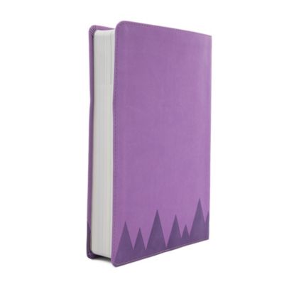 CSB Explorer Bible for Kids, Lavender Compass LeatherTouch