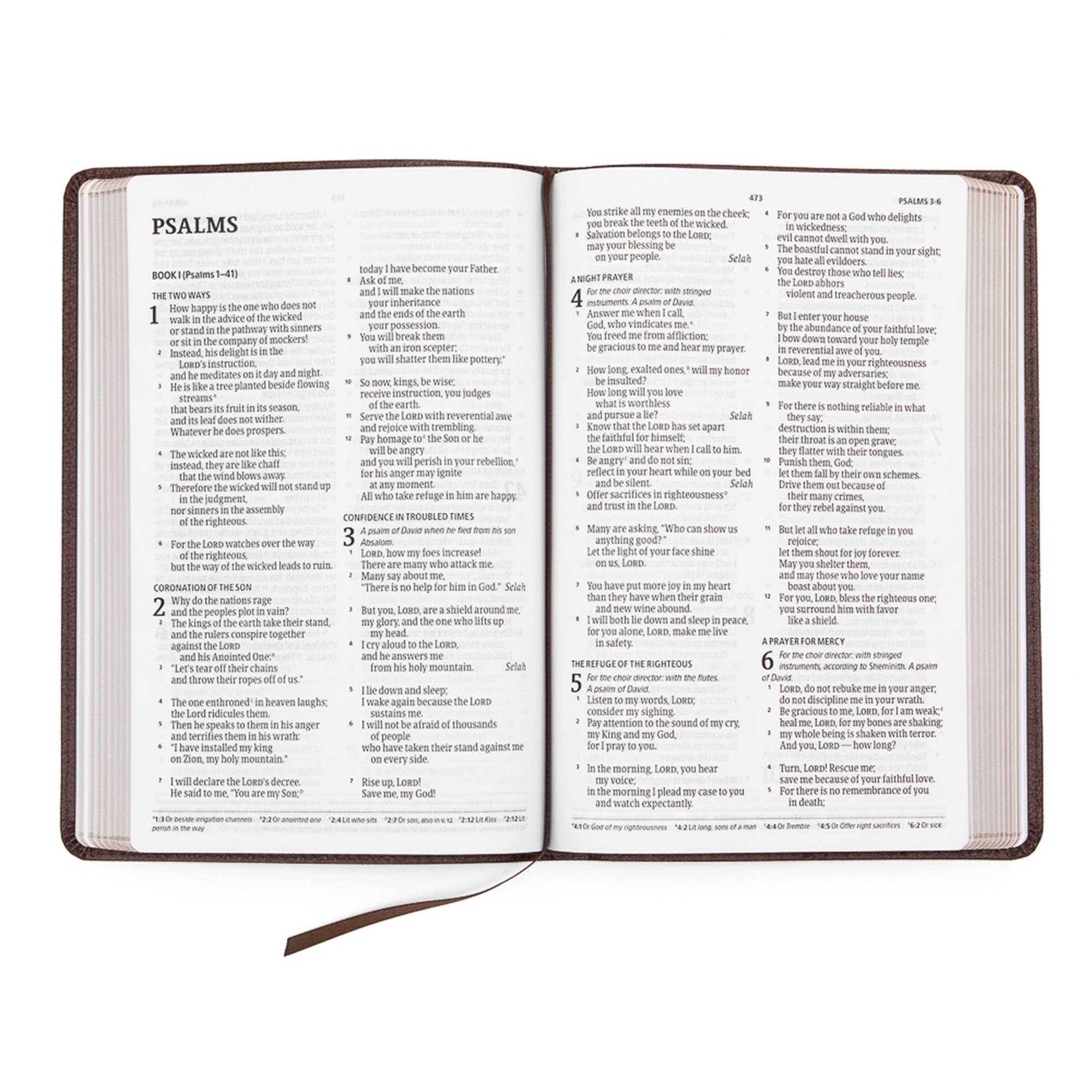 CSB Large Print Thinline Bible, Brown Bonded Leather