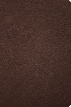 CSB Large Print Thinline Bible, Holman Handcrafted Collection, Brown Premium Goatskin