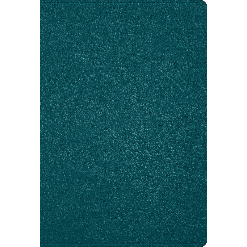 RVR 1960 Biblia Deluxe verde turquesa, piel genuina