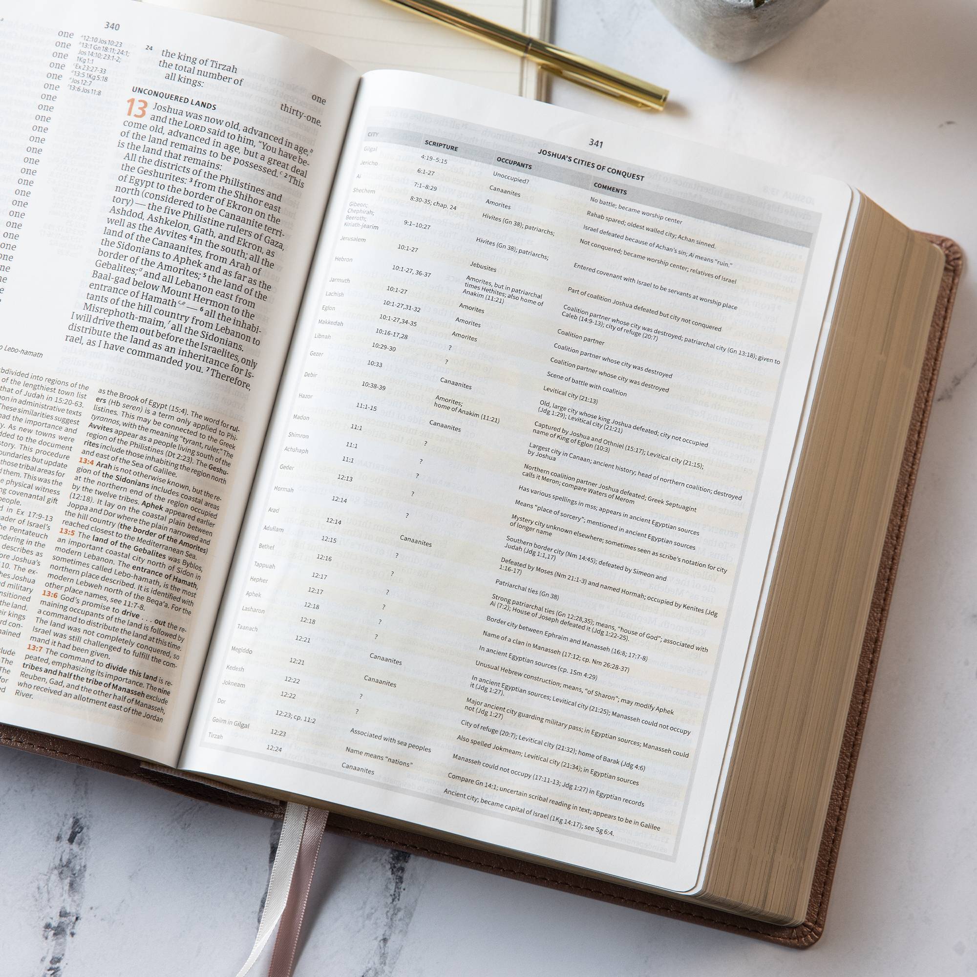 Community Bible Study, Rosewood Pen 