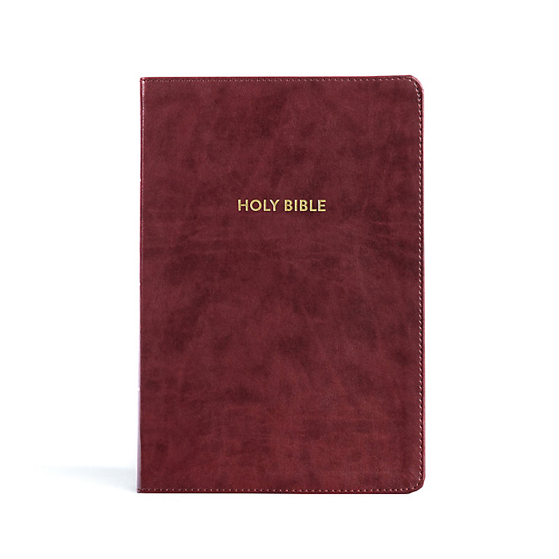 KJV Rainbow Study Bible, Burgundy LeatherTouch