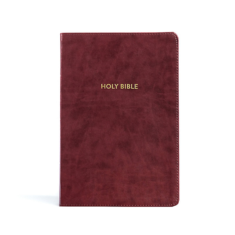 KJV Rainbow Study Bible, Burgundy LeatherTouch, Indexed