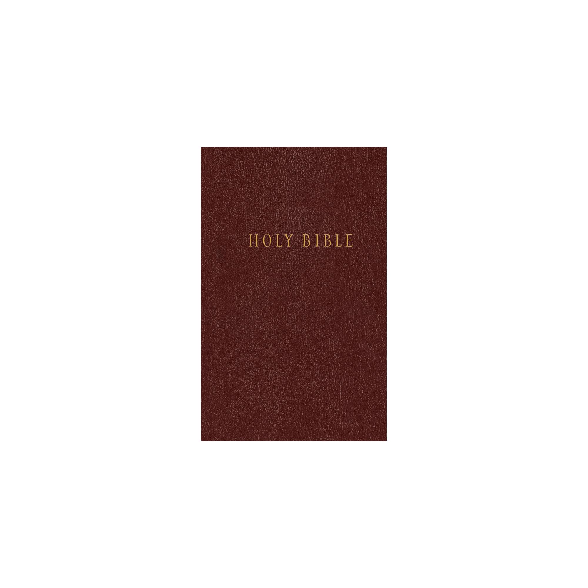 Scripture Confident through the Bible - (Paperback) — Scripture Confident  Living
