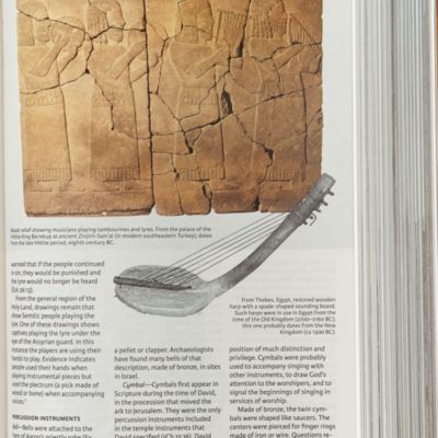 CSB Holy Land Illustrated Bible, Ginger LeatherTouch