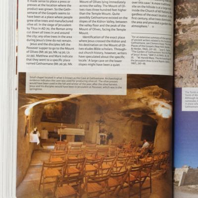 CSB Holy Land Illustrated Bible, Ginger LeatherTouch