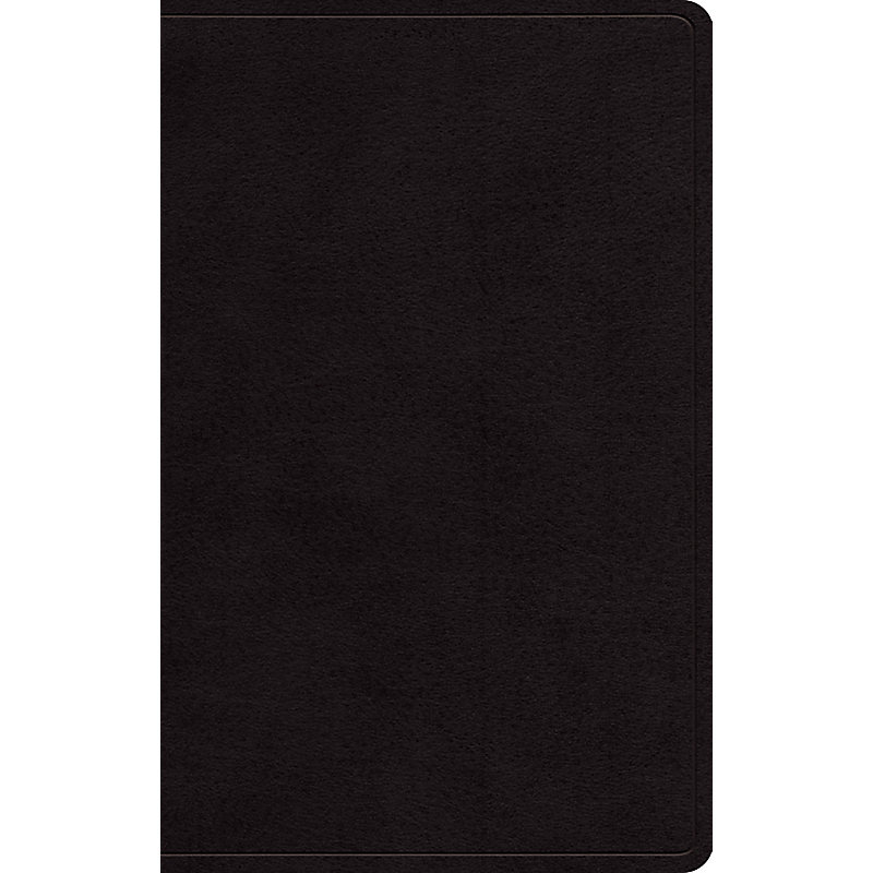 ESV Large Print Personal Size Bible (Black)