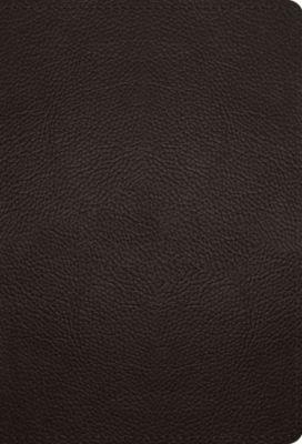 esv-large-print-compact-bible-buffalo-leather-deep-brown-lifeway