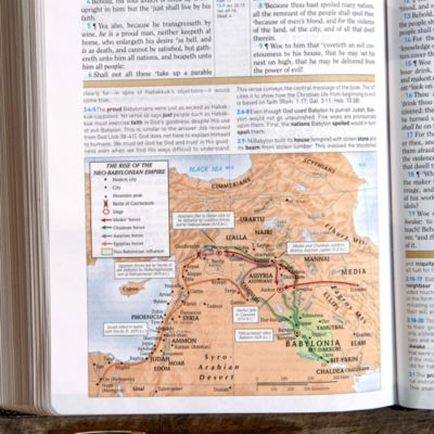 KJV Study Bible, Father's Edition Black/Tan LeatherTouch