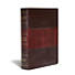 KJV Study Bible Large Print Edition, Saddle Brown LeatherTouch