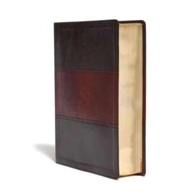 KJV Study Bible Large Print Edition, Saddle Brown LeatherTouch