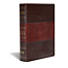 KJV Study Bible Large Print Edition, Saddle Brown LeatherTouch Indexed