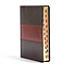 NIV Rainbow Study Bible, Saddle Brown LeatherTouch Indexed