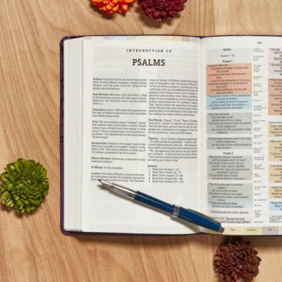 NIV Rainbow Study Bible, Purple LeatherTouch