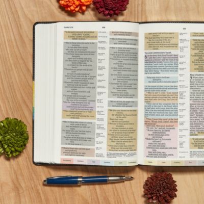 NIV Rainbow Study Bible, Kaleidoscope Black LeatherTouch
