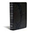 KJV Study Bible, Charcoal LeatherTouch