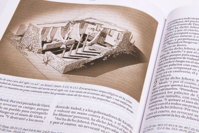 RVR 1960 Biblia de Estudio para Mujeres, vino tinto/fucsia símil piel