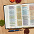 NIV Rainbow Study Bible, Pierced Cross LeatherTouch