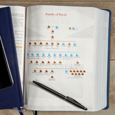 KJV Study Bible Indigo LeatherTouch Indexed