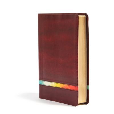 NIV Rainbow Study Bible, Maroon LeatherTouch