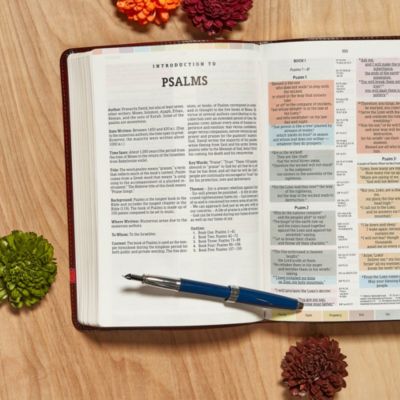 NIV Rainbow Study Bible, Maroon LeatherTouch