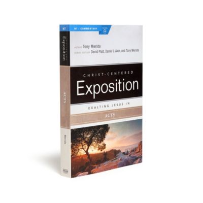 Exalting Jesus in Acts