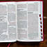 CSB Large Print Personal Size Reference Bible, Pink LeatherTouch, Indexed
