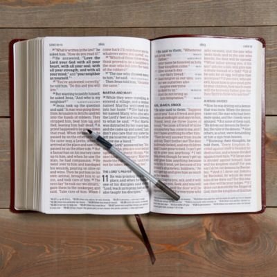 CSB Large Print Personal Size Reference Bible, Brown LeatherTouch