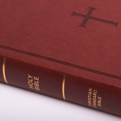 CSB Large Print Personal Size Reference Bible, Brown LeatherTouch, Indexed