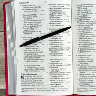 CSB Giant Print Reference Bible, Pink LeatherTouch, Indexed