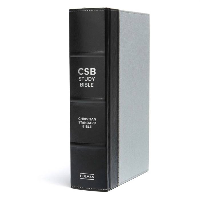 CSB Illustrating Bible--faux-leather, green – Rockpile Bookstore