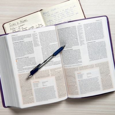 CSB Study Bible, Purple LeatherTouch
