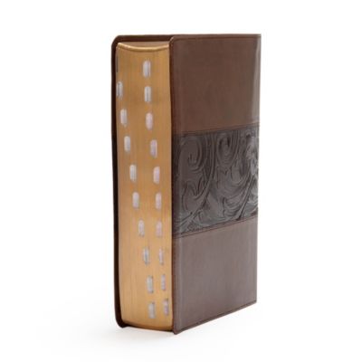 CSB Study Bible, Mahogany LeatherTouch, Indexed