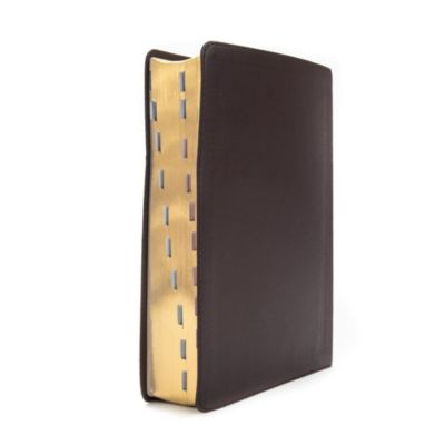 CSB Study Bible, Brown Genuine Leather, Indexed