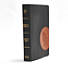 CSB Apologetics Study Bible for Students, Black/Tan LeatherTouch