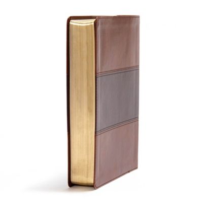 CSB Apologetics Study Bible, Mahogany LeatherTouch